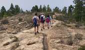 Tour Wandern Adeje - La qu’intact - Photo 17