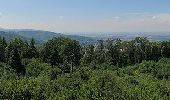 Percorso A piedi Weinheim - Rundwanderweg Weinheim Hirschkopf 1: Hirschkopfturm-Weg - Photo 3