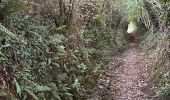 Excursión  Plestin-les-Grèves - Le grand Rocher saint Efflam - Photo 1