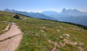 Tocht Stappen Urtijëi - St. Ulrich in Gröden - Ortisei - Raschötz Alm - Photo 16