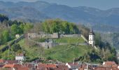 Randonnée A pied Bruck an der Mur - Naturfreunde Rundwanderweg - Photo 9