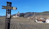 Randonnée Marche Mittelwihr - Les perles du vignoble  : Mittelwihr - Beblenheim - Zellenberg - Hunawihr - Riquewihr. - Photo 19