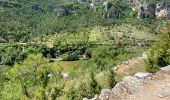 Trail Walking Gorges du Tarn Causses - Saint Chely 17 km - Photo 11