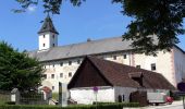 Tour Zu Fuß Bad Schallerbach - Landlweg - Photo 2