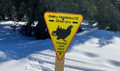 Percorso Racchette da neve Vaulnaveys-le-Haut - Lac Achard - Photo 2