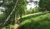 Excursión Senderismo Lieja - GG-Lg-10_Angleur - Nessonvaux - Photo 6