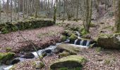 Excursión Marcha nórdica Saint-Léger-le-Guérétois - 3 coches 8.8k - Photo 1