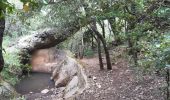 Excursión A pie Signes - Sioux Blanc,les bidoufles,le pas de Belgentier, les aiguilles et retour - Photo 7