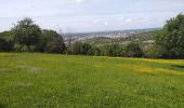 Tour Wandern Beure - ferme Jourande - le mercureau - Photo 1