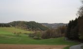 Tocht Te voet Bad Endbach - Wanderweg E5 / Quellweg - Photo 8