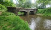 Tour Wandern Libin - troisièmes étapes entre lesse et lomme  - Photo 1