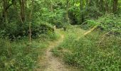 Tocht Stappen Soisy-sur-École - Soizy-sur-Ecole - La Padole - Photo 15