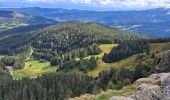 Trail Walking Le Valtin - VOSGES 2023 - Col de la Schlucht - Les Rochers de Hirschteine - Photo 4