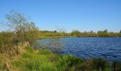 Trail On foot Tellingstedt - Klaus-Groth-Wanderweg - Photo 8