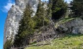 Randonnée Marche La Roche-sur-Foron - GLIERES / BORNES: LE CHENET - SUR COU - COL DU FREU - ROCHE PARNAL - COL DU CABLE - BALME - Photo 2