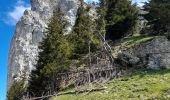 Percorso Marcia La Roche-sur-Foron - GLIERES / BORNES: LE CHENET - SUR COU - COL DU FREU - ROCHE PARNAL - COL DU CABLE - BALME - Photo 2