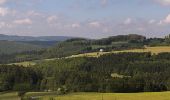 Tocht Te voet Poppenhausen - Rhön-Rundweg 9 Wachtkueppel - Photo 10