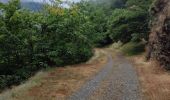 Trail Walking Cans et Cévennes - Calberte  - Photo 4