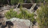 Randonnée Marche Argelès-sur-Mer - Château de Valmy par les dolmens - Photo 2