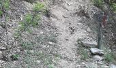 Trail Walking Prats-de-Mollo-la-Preste - col du miracle a pratiquement de mollo - Photo 14