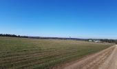 Randonnée Marche Celles-sur-Ource - Les hauts de Celles sur Ource et Neuville sur Seine - Photo 8