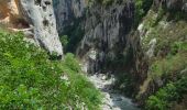 Percorso Marcia La Palud-sur-Verdon - Sentier Blanc Martel - Photo 4