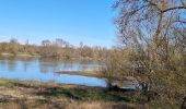 Trail Walking Candé-sur-Beuvron - cande sur beuvron - Photo 2