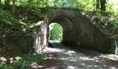 Tour Wandern Momignies - Seloignes 110621 - Photo 1