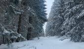 Trail Walking Murol - Le tour de Beaune le froid  - Photo 4