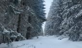 Excursión Senderismo Murol - Le tour de Beaune le froid  - Photo 4