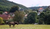 Excursión A pie Sangerhausen - Buschklepperweg - Photo 9