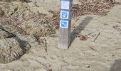 Trail Walking La Croix-Valmer - Boucle en partant de la plage de Gigaro - Photo 10