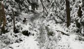 Excursión Senderismo Waimes - les 2 vallées moulin du bayehon - Photo 2