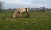 Percorso Marcia Thimister-Clermont - boucle Thimister Aubel Hombourg Welky  - Photo 3