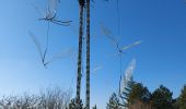 Trail Walking Arboras - arboras arsel - Photo 9