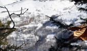 Tour Schneeschuhwandern Génos - Val Louron raquettes - Photo 18