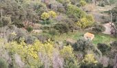 Trail Walking Bormes-les-Mimosas - les 3 cols Bormes les Mimosas  - Photo 2