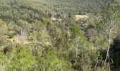 Tour  Roquefort-la-Bédoule - Sous les barres de fond blanche  - Photo 5