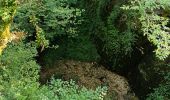 Excursión Senderismo Montrond-le-Château - Montrond château rando des gouffres - Photo 1