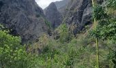 Excursión Senderismo La Possession - jour 3 Réunion  - Photo 11