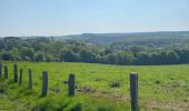 Trail Walking Paliseul - Maissin, pvl juillet 2025 - Photo 9
