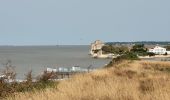 Trail Bicycle tourism Royan - Royan - Braud et Soleil  - Photo 2