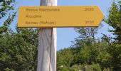 Trail Walking Zicavo - rando Corse (GR20)  - Photo 4