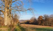 Randonnée Marche Villers-la-Ville - Balade autour de Villers-la-Ville - Photo 8