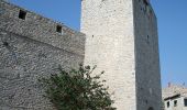 Tour Zu Fuß Viols-le-Fort - Circuit des dolmens de Viols-le-Fort à Cantagrils - Photo 5