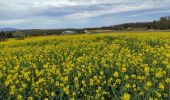 Randonnée Marche Burnhaupt-le-Bas - Burnhaupt Bas  - Photo 1