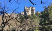 Trail Walking Saint-Félix-de-l'Héras - Les Fabres - Mas Rouquet - Photo 10