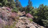 Trail Walking Saint-Mélany - Le chemin des Lauzes - Photo 10