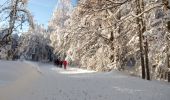 Randonnée Raquettes à neige Haut Valromey - raquettes chapelle5km6 - Photo 10