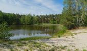 Tour Zu Fuß Märkische Heide - Wanderweg Schlepzig-Dürrenhofe - Photo 5